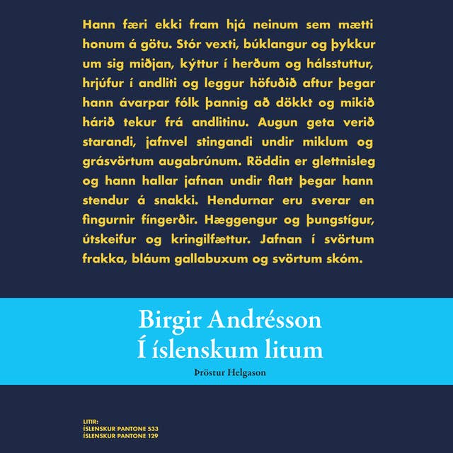 Birgir Andrésson – Í íslenskum litum