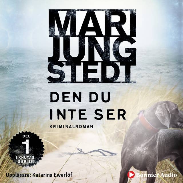 Den du inte ser by Mari Jungstedt