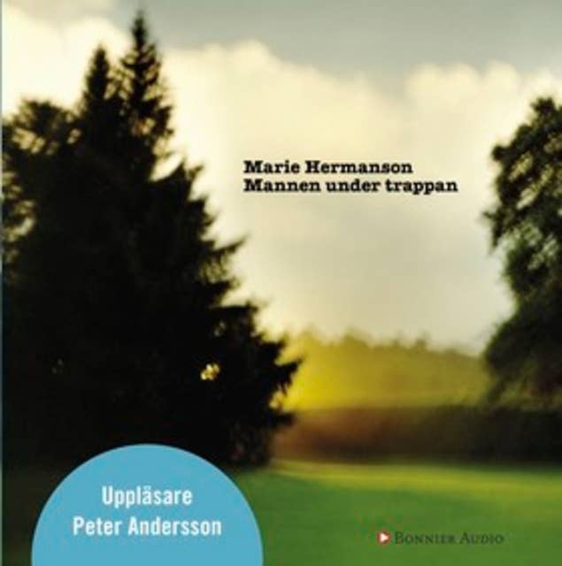 Cover for Mannen under trappan