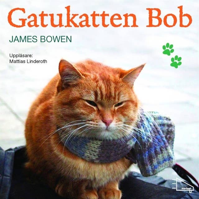Gatukatten Bob