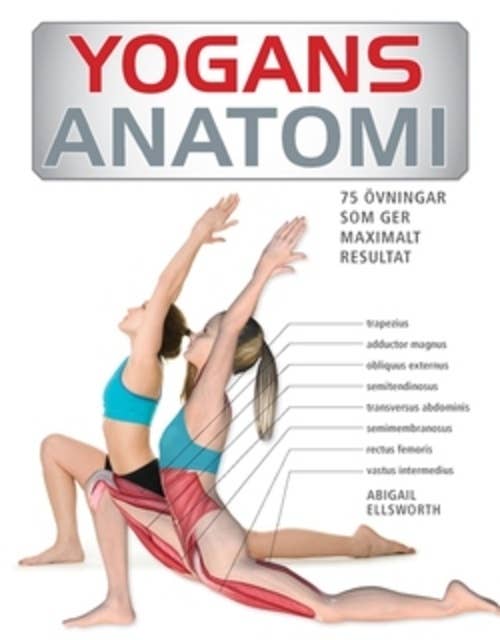 Yogans anatomi