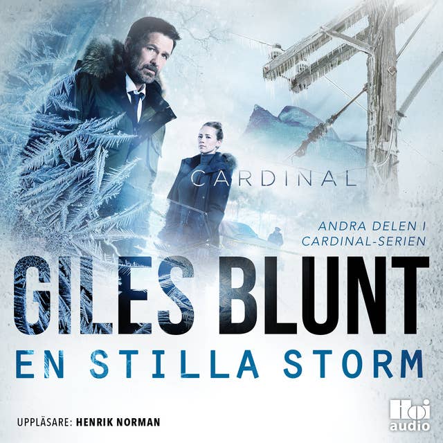 Cover for En stilla storm