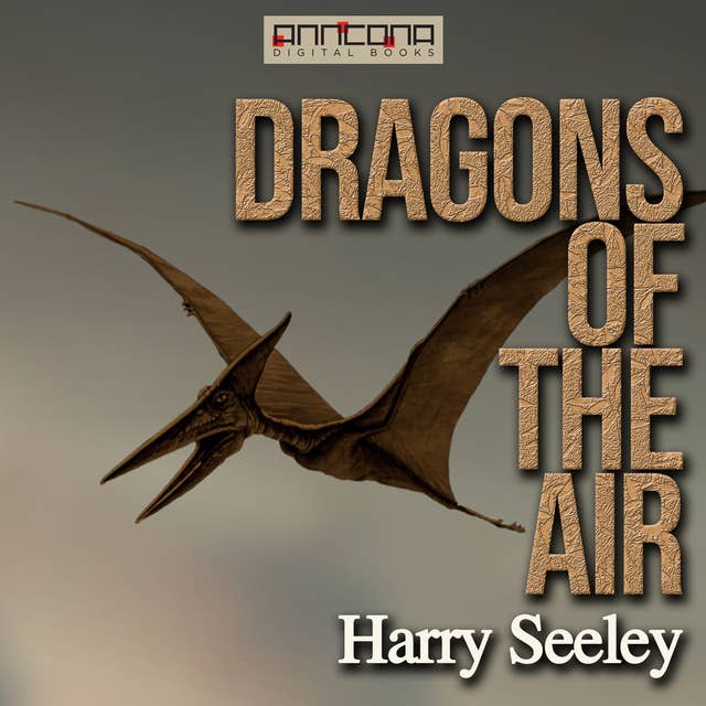 Dragons of the Air