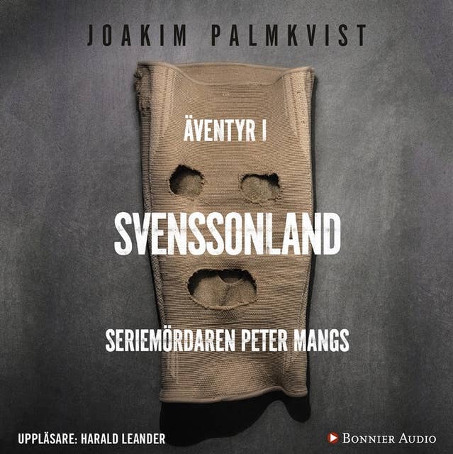 Cover for Äventyr i Svenssonland : seriemördaren Peter Mangs