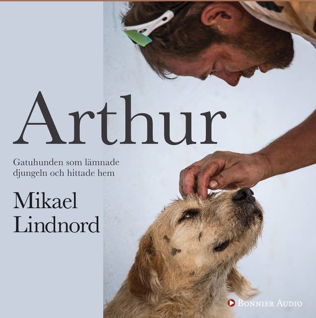 Arthur : gatuhunden som lämnade djungeln och hittade hem