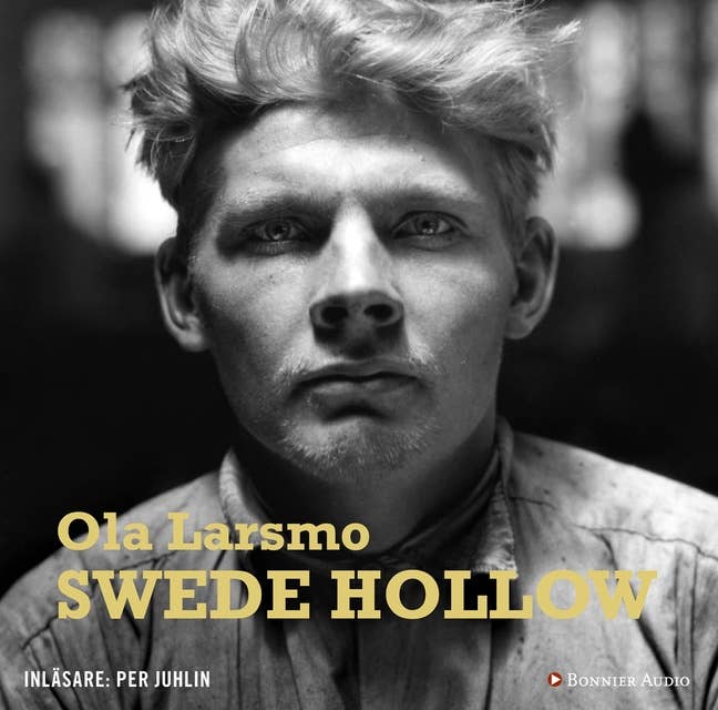 Cover for Swede Hollow