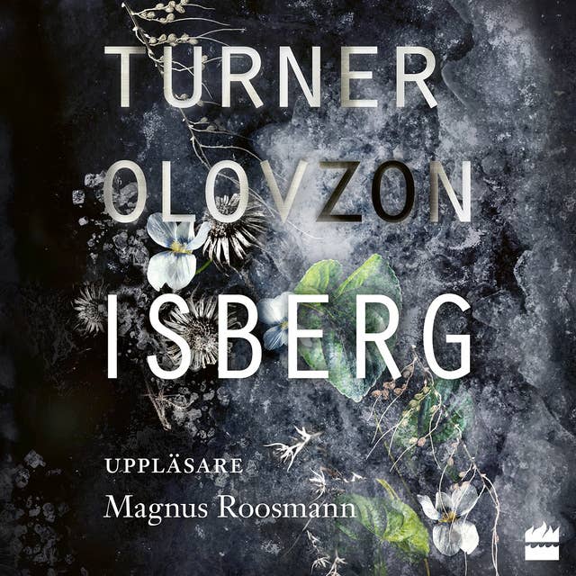 Isberg