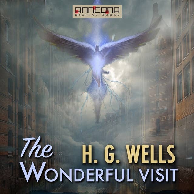 Cover for The Wonderful Visit