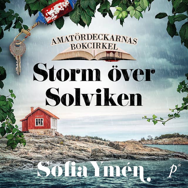Cover for Storm över Solviken