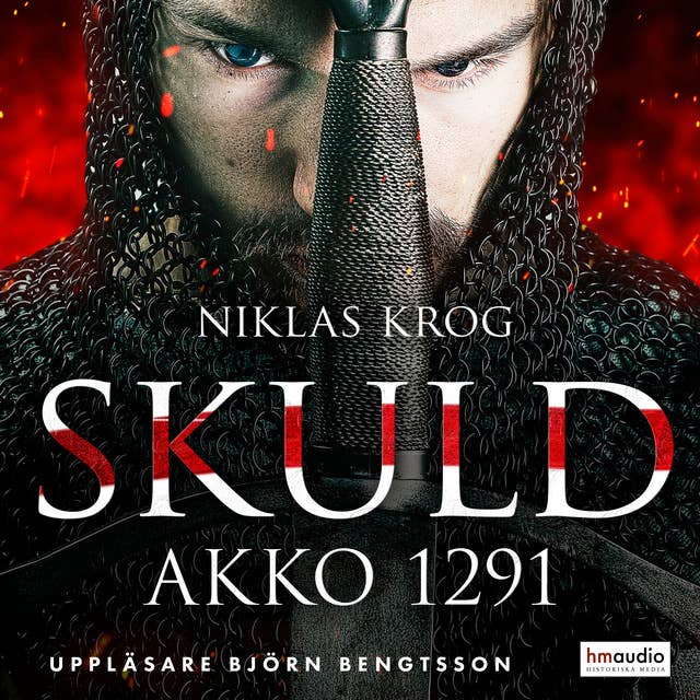 Cover for Skuld: Akko 1291