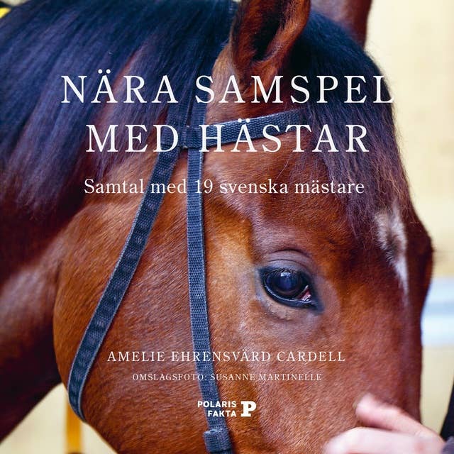 Nära samspel med hästar - Samtal med 19 svenska mästare