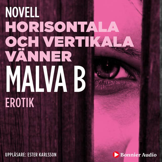 Horisontala och vertikala vänner : en novell ur Begär by Malva B.