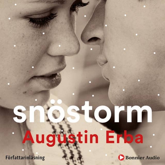 Cover for Snöstorm