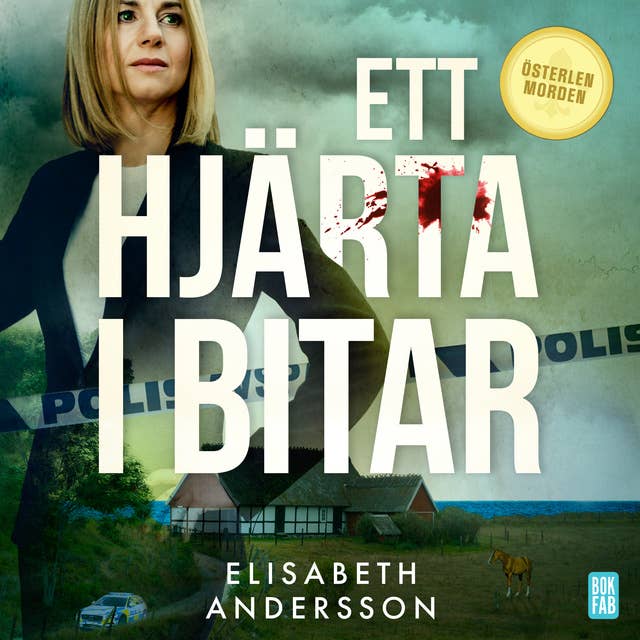 Ett hjärta i bitar