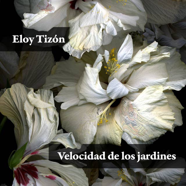 Velocidad de los jardines by Eloy Tizón