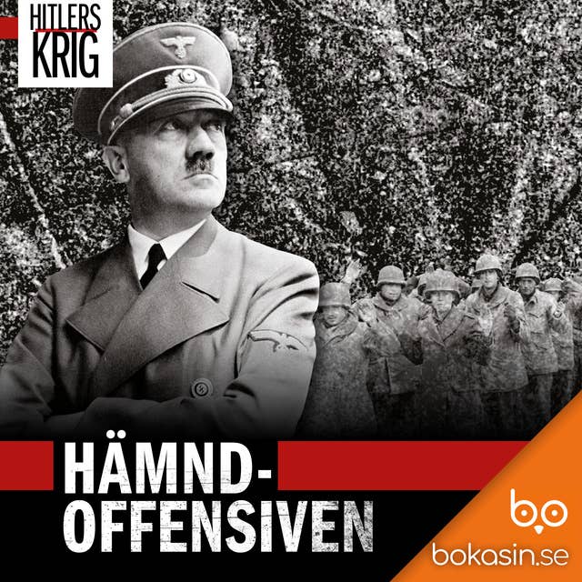 Hämndoffensiven