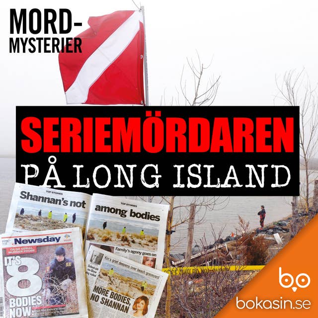 Seriemördaren på Long Island