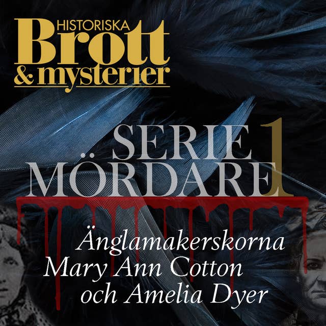 Cover for Seriemördare 1