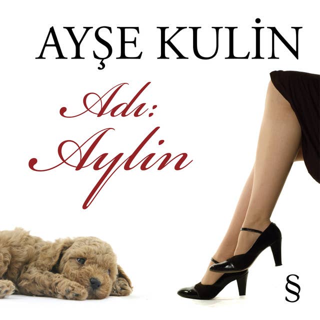 Cover for Adı: Aylin