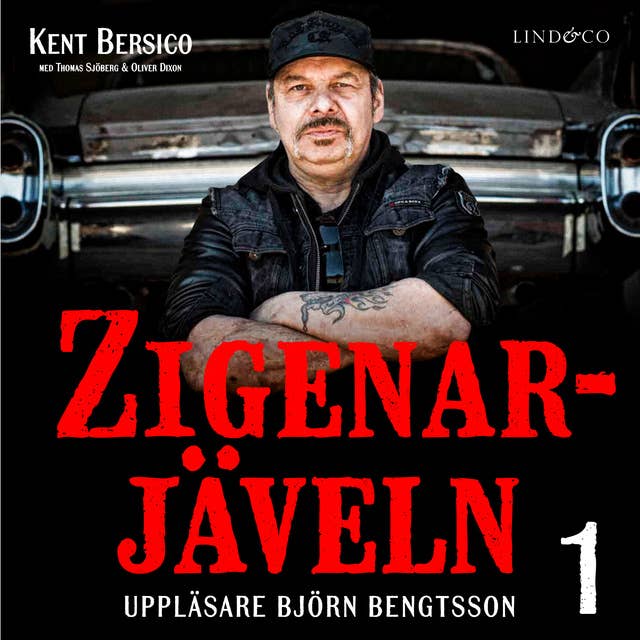 Cover for Zigenarjäveln - Del 1