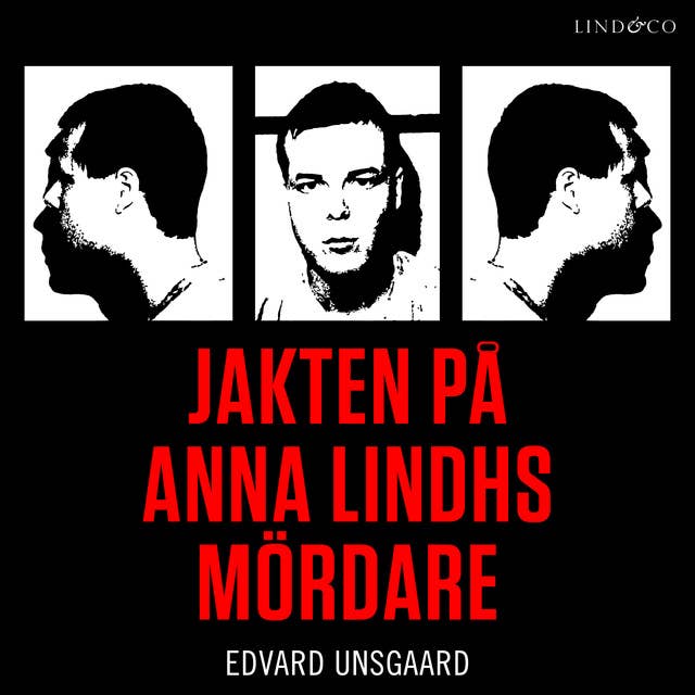 Cover for Jakten på Anna Lindhs mördare