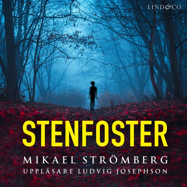 Cover for Stenfoster