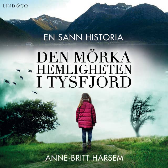 Cover for Den mörka hemligheten i Tysfjord