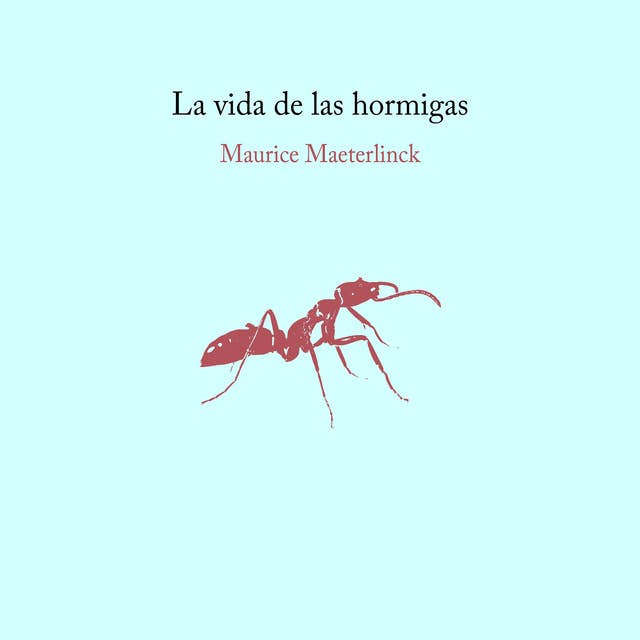 La vida de las hormigas