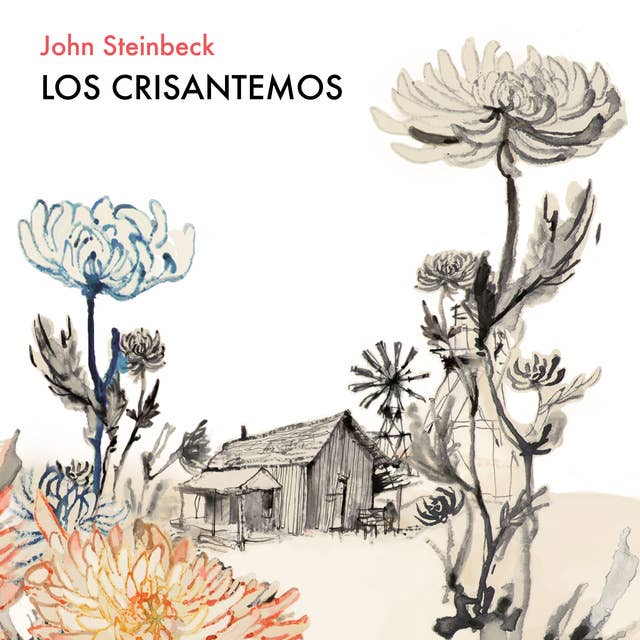 Los crisantemos 