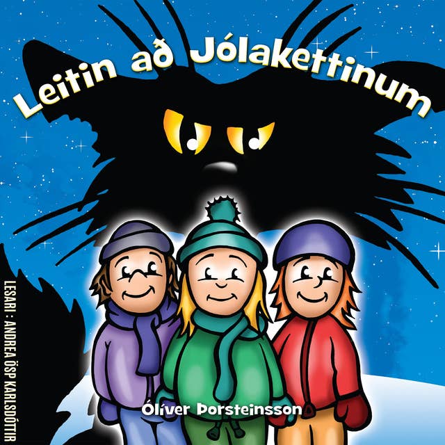 Cover for Leitin að jólakettinum
