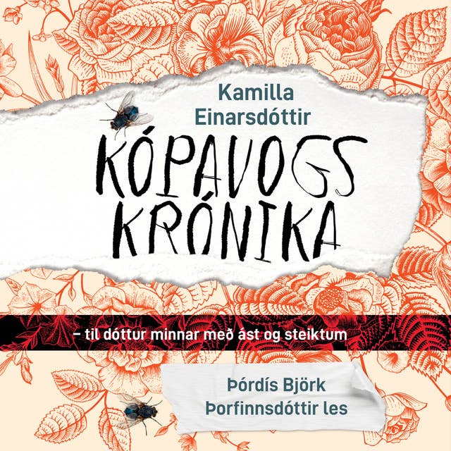 Cover for Kópavogskrónika