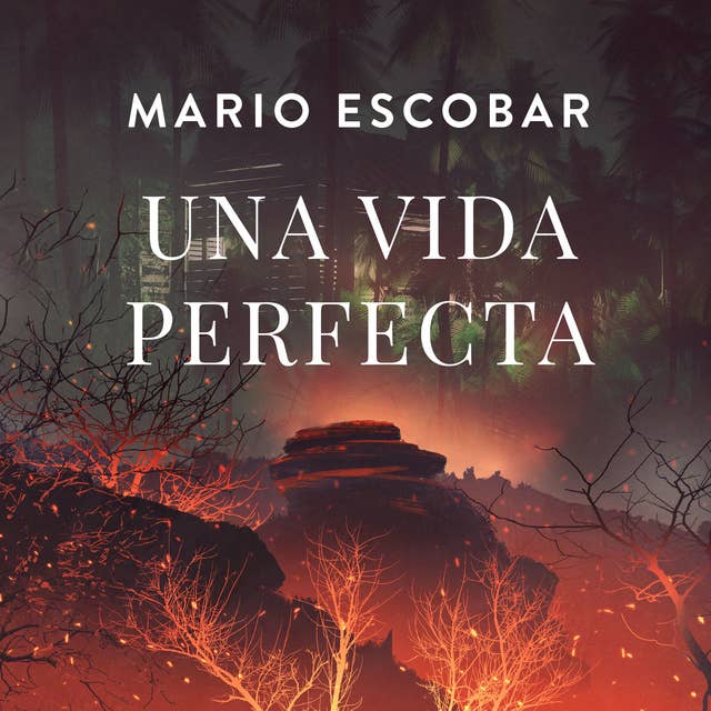 Cover for Una vida perfecta