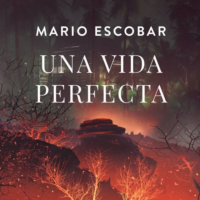 Una vida perfecta 