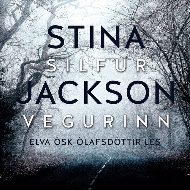 Cover for Silfurvegurinn