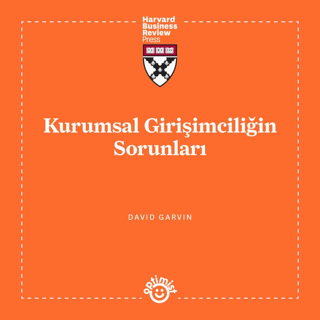 Kurumsal Girişimciliğin Sorunları