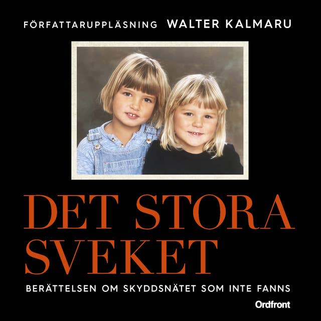 Det stora sveket : Berättelsen om skyddsnätet som inte fanns by Walter Kalmaru