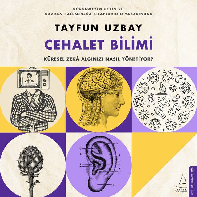 Cover for Cehalet Bilimi