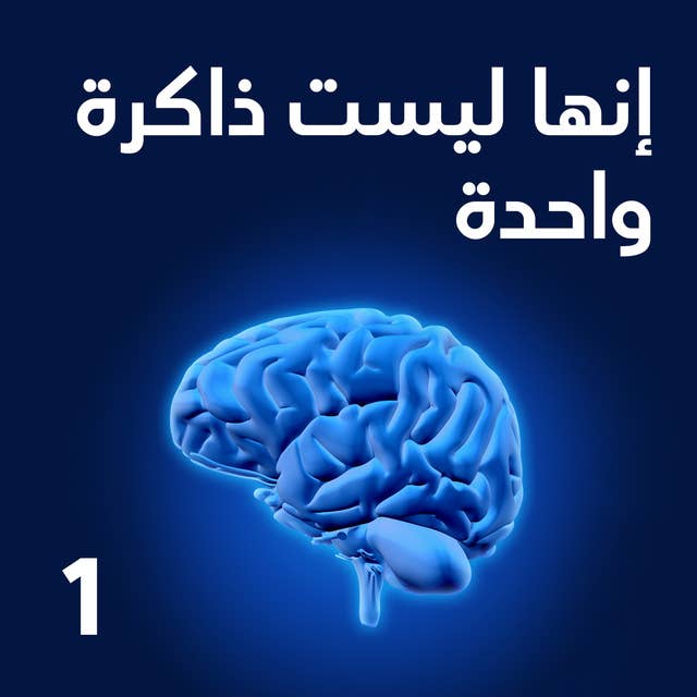 إنها ليست ذاكرة واحدة by تيفوي تيك
