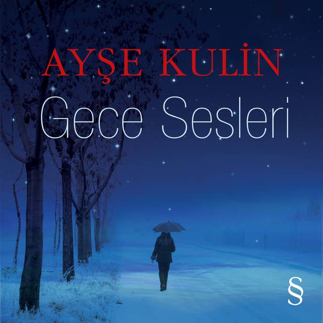 Cover for Gece Sesleri