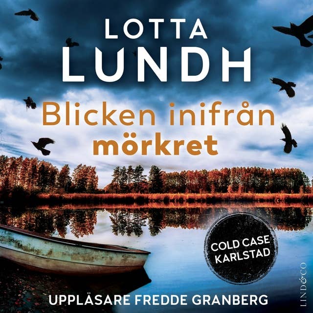 Blicken inifrån mörkret