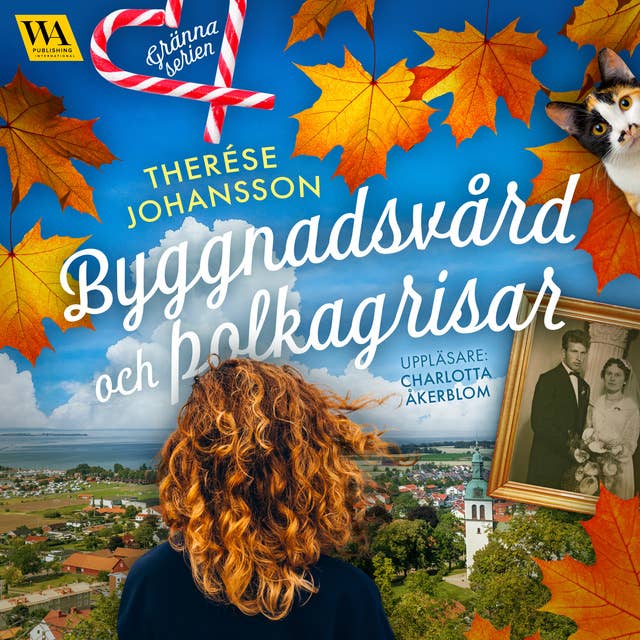 Cover for Byggnadsvård och polkagrisar