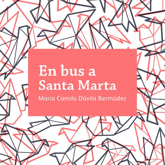En bus a Santa Marta