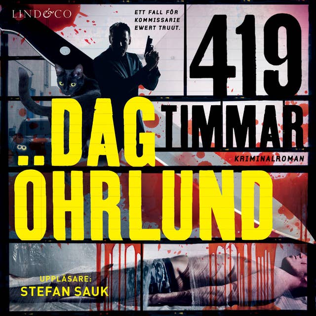 419 timmar