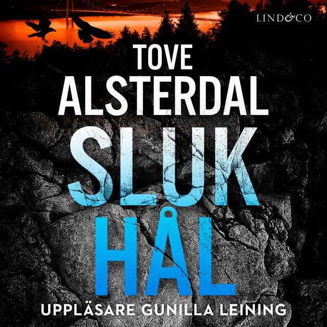Cover for Slukhål