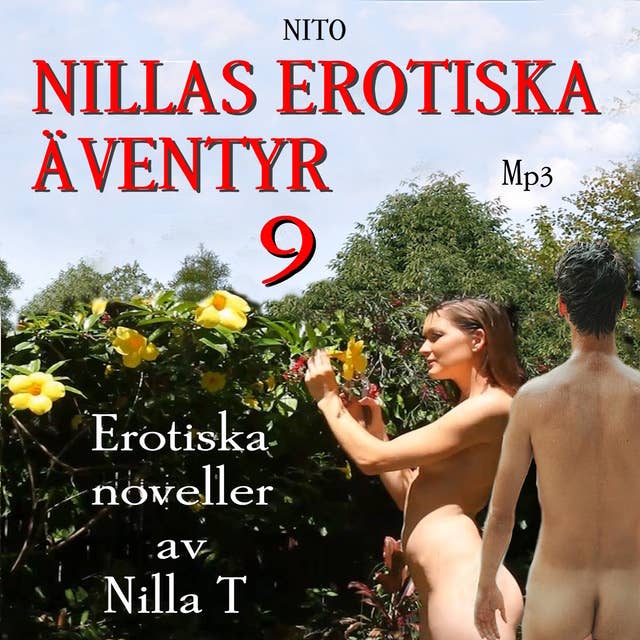 Nillas Erotiska Äventyr 9 - Erotik : Erotiska noveller