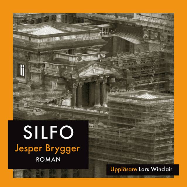 Cover for Silfo : Roman