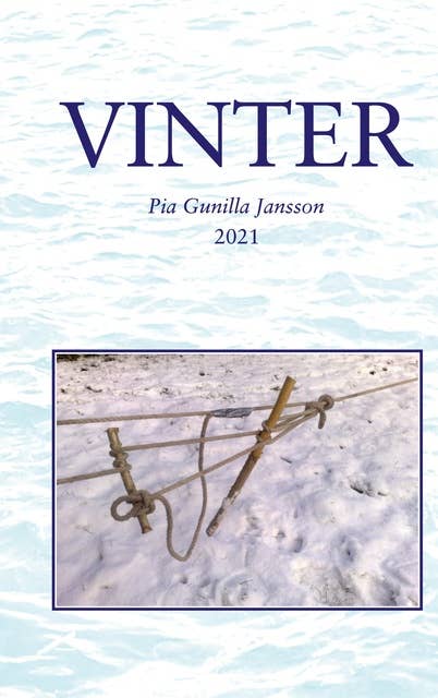 Vinter: I mörker och kyla på de oändliga isvidderna