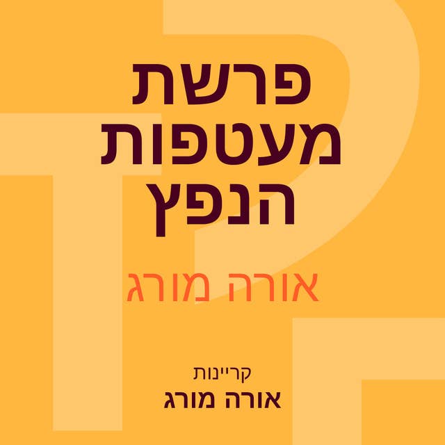 פרשת מעטפות הנפץ 