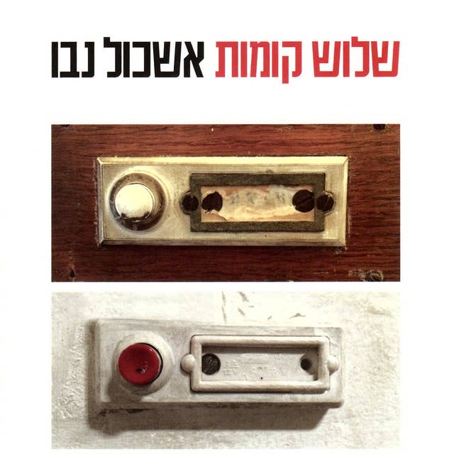 שלוש קומות by Eshkol Nevo