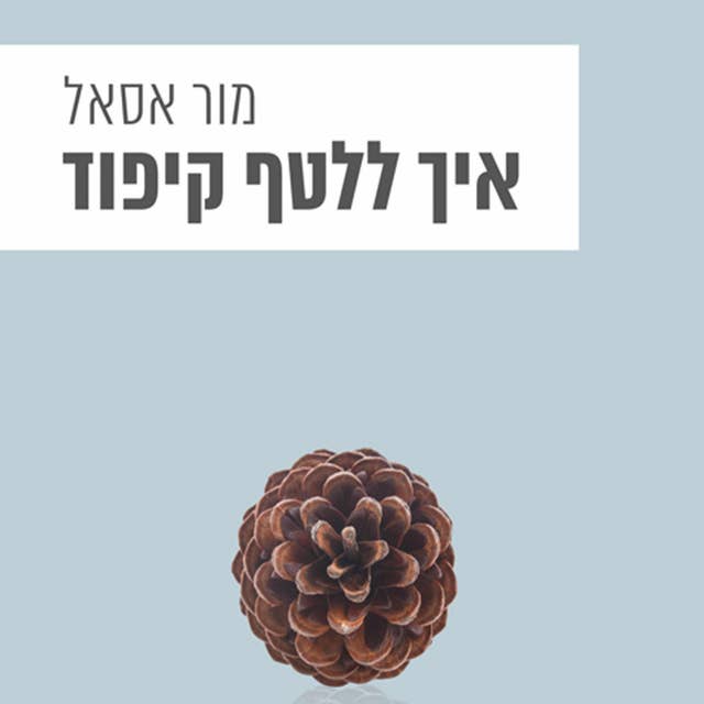 איך ללטף קיפוד 